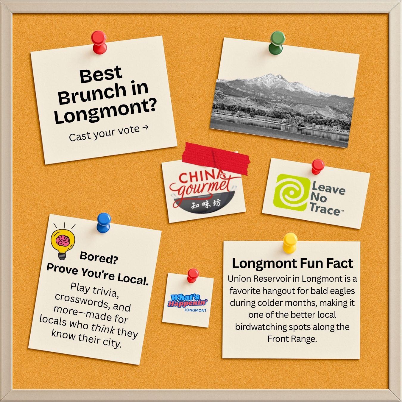 Longmont -  51.jpg