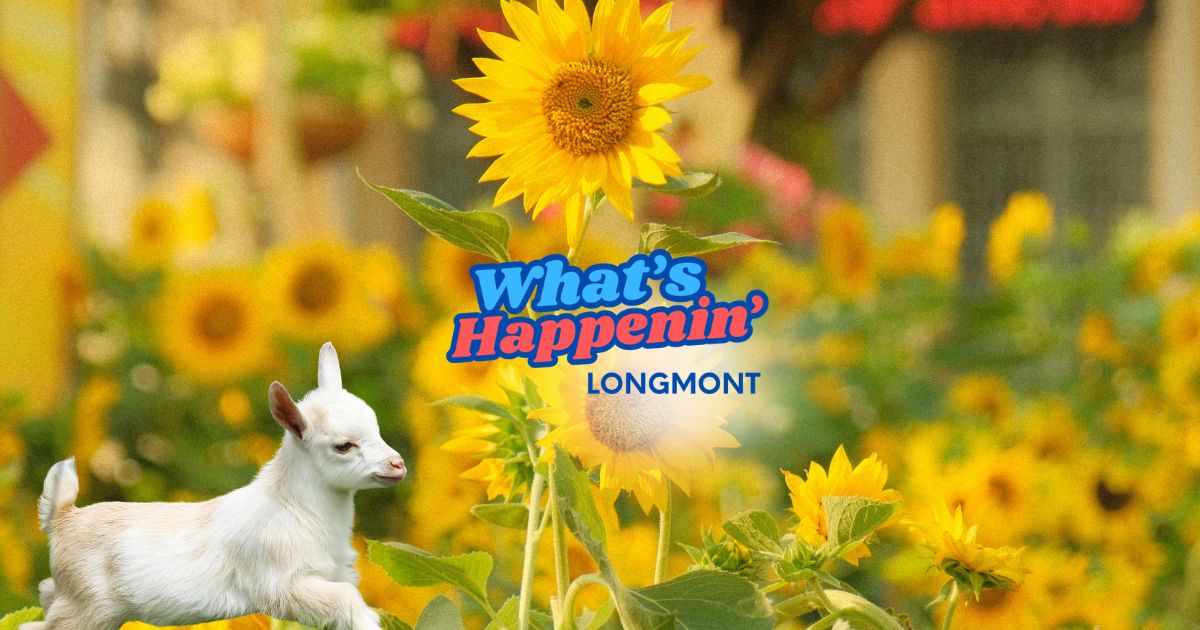 whl 424.jpg