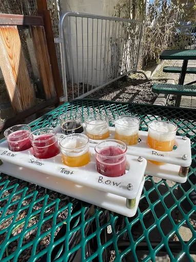 🍻 Denver’s Best Breweries — You Voted, We Poured