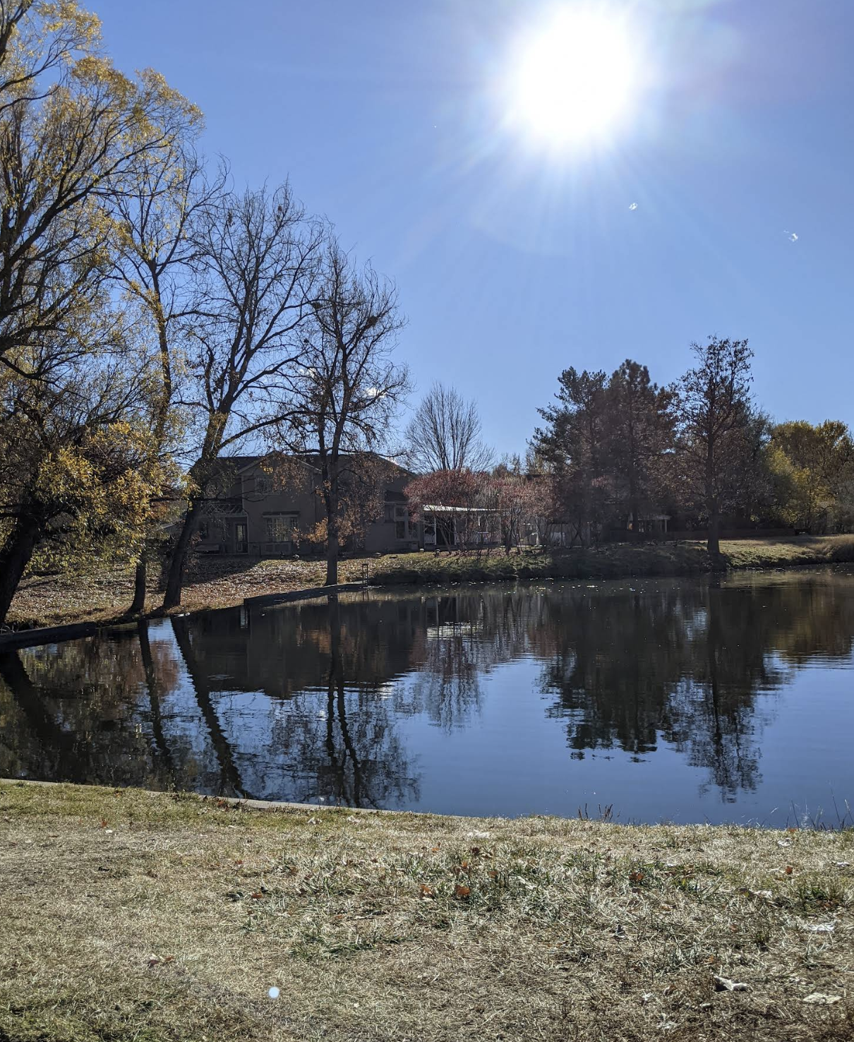 🚴‍♂️ Arvada Rides Locals Actually Love