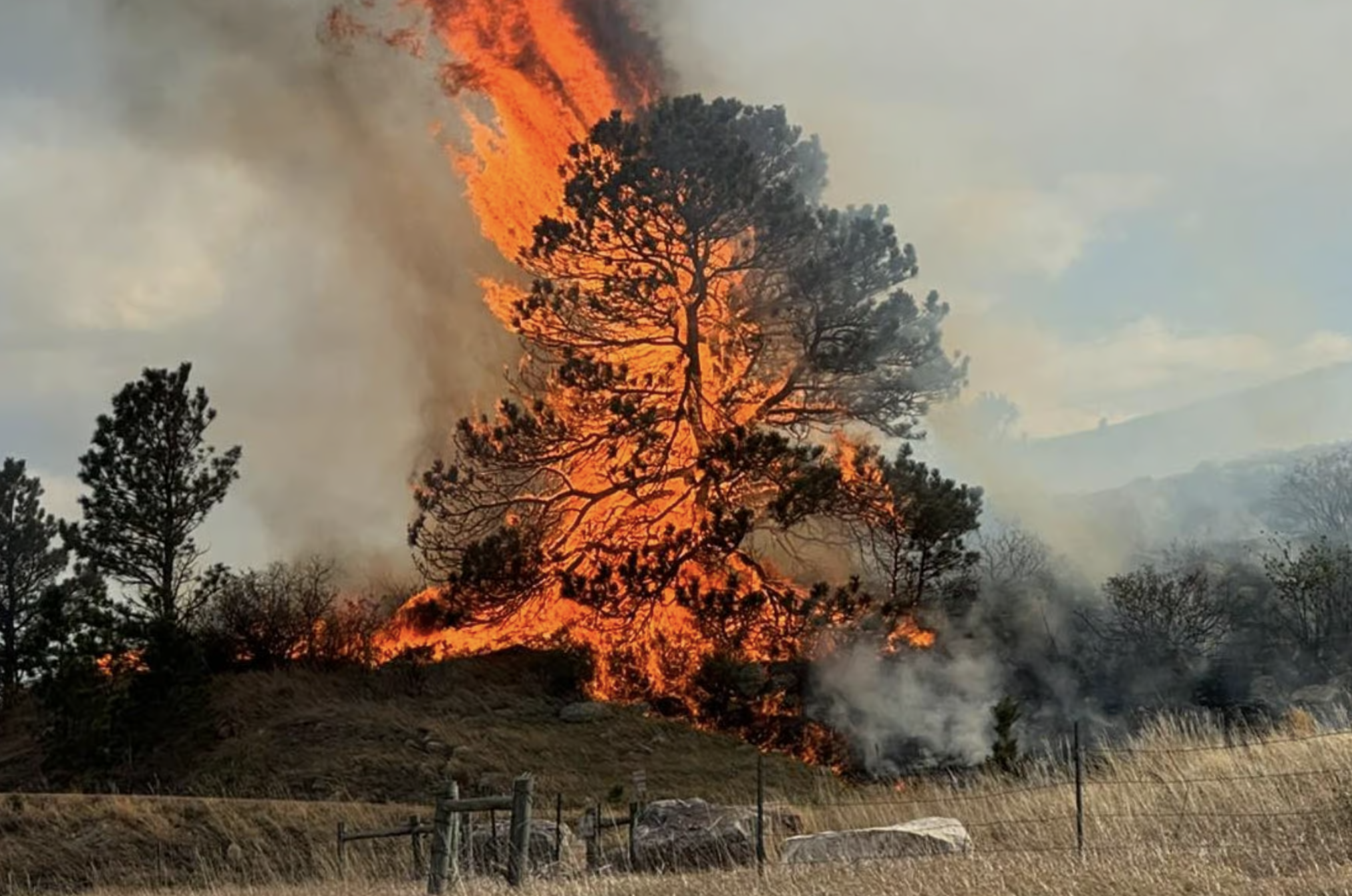 🔥  FoCo Stays Ready: Quick Fire Update + What to Know