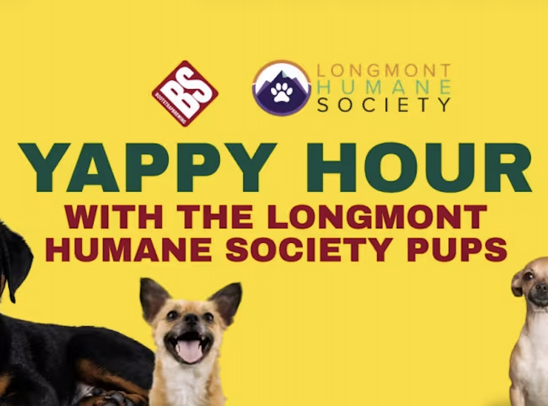 🎉 Yappy Hour Adoption Event with Longmont Humane Society